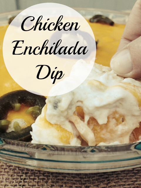 Chicken Enchilada Dip