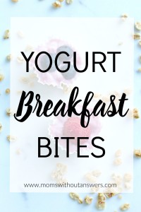 Yogurt Breakfast Bites
