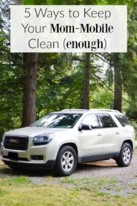 5 Ways to Keep Your Mom-Mobile Clean (enough). Great tips for keeping your car organized and clean.