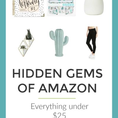 HIDDEN GEMS OF AMAZON